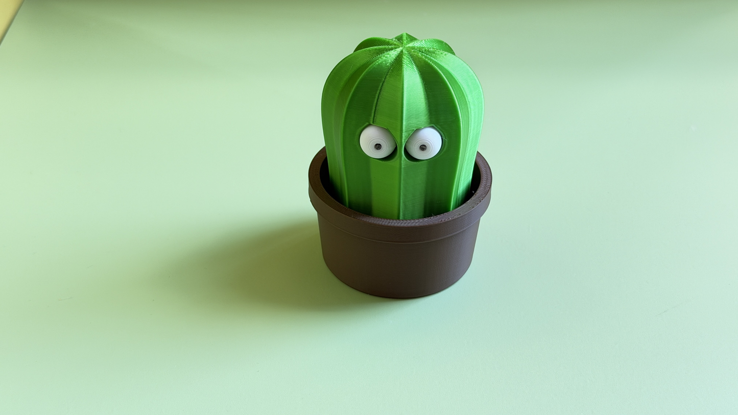3D Printed Novelty Cactus Ornament
