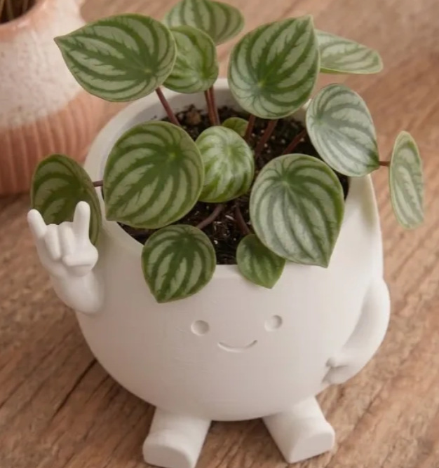 3D-printed mini cute succulent planter for office desks