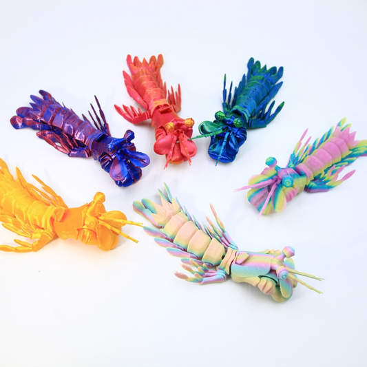 3D-printed realistic mantis shrimp (marine animal)