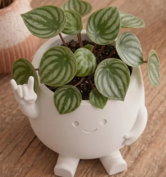 3D-printed mini cute succulent planter for office desks