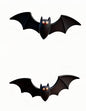 3D-Printed Halloween  Evil bat Ornament